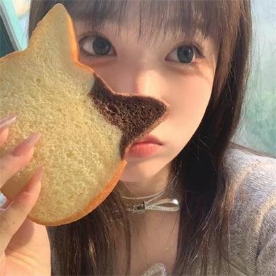 朱德元帅